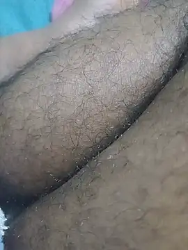 הופעת וובקאם של Hiptonos