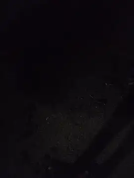 Hiptonos 在線直播表演