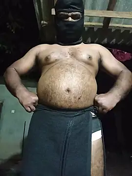 Hiptonosn Webbikameraesitys