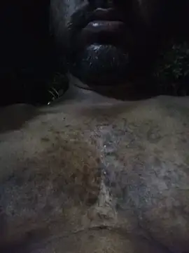 Hiptonos 在線直播表演