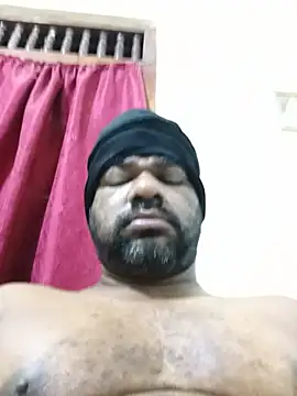 Hiptonosn Webbikameraesitys