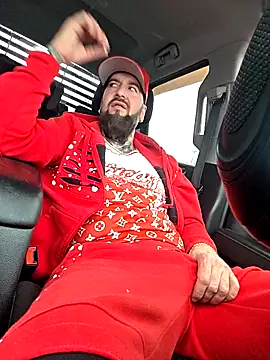 Webkamerová show Beardedtattood