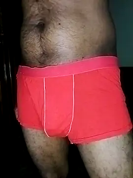 Pertunjukan Kamera Web SuranSexy33
