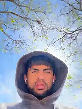 Elcangri-15 网络视讯表演