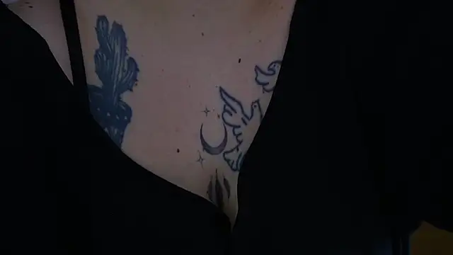 Kittywakee 现场聊天室