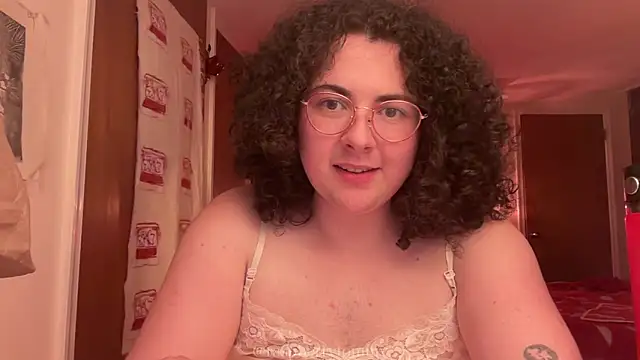 Show Webcam de RaspberryTommyFTM
