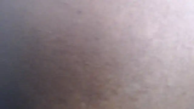 PervertPreggy live-chat rom