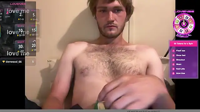 Show webcam de anomalies_ig