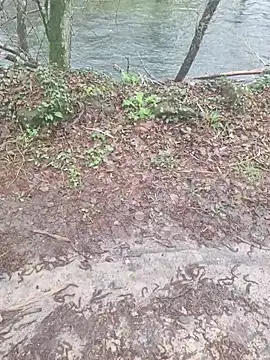 RikCum4u Webcam Show