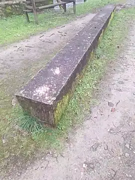 عرض كام RikCum4u