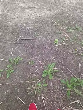 RikCum4u Webcam-Show