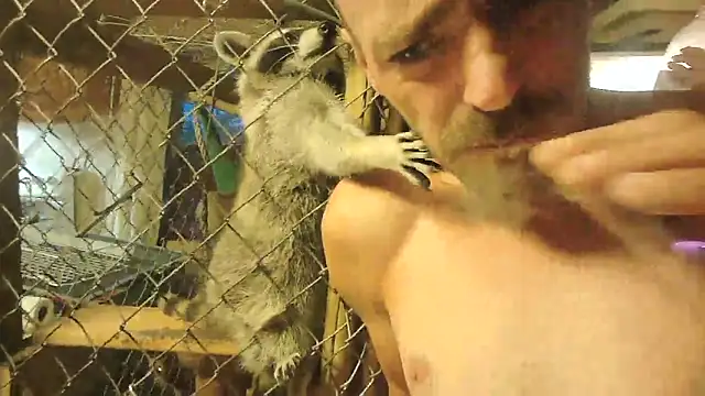 DaddyAndSplashQueen Pertunjukan Webcam