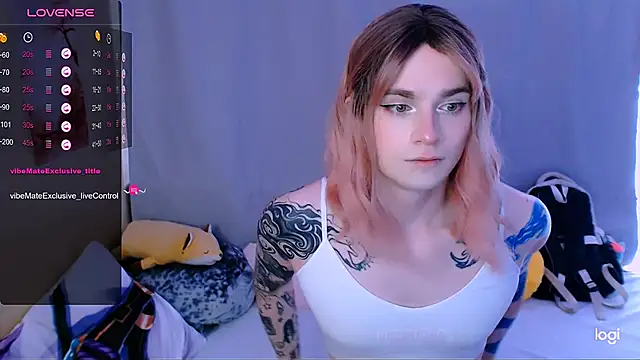 Alice_Hellsn Webbikameraesitys