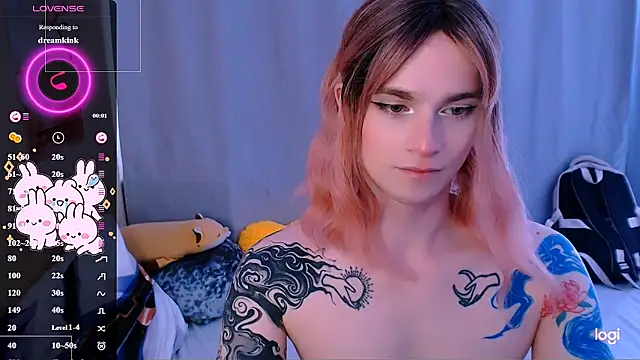 Alice_Hellsn Webbikameraesitys
