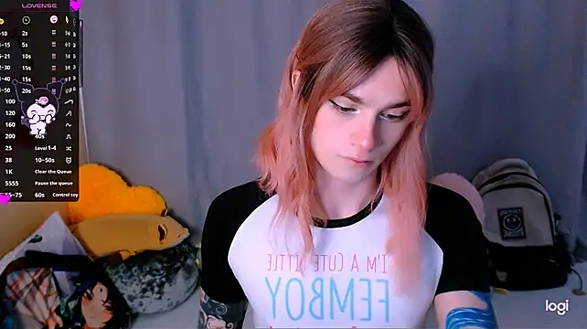 Alice_Hellsn Webbikameraesitys