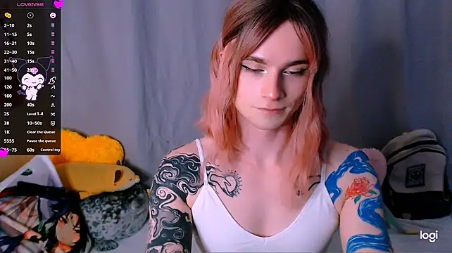 Alice_Hellsn Webbikameraesitys