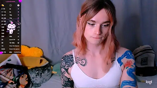 Alice_Hellsn Webbikameraesitys