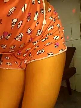 Show de TiagosafadoFortaleza na webcam