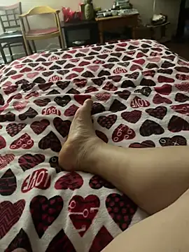 Mingtian4117 网络视讯表演
