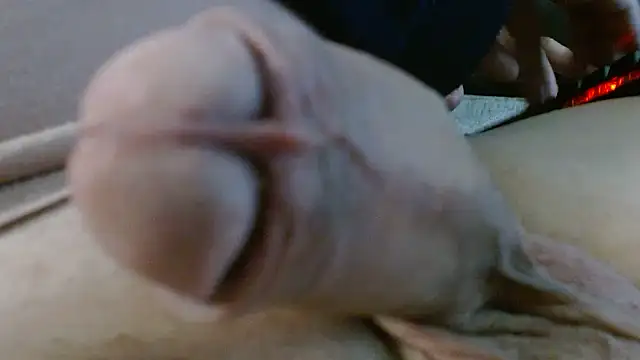 Heracles00 Webcam show