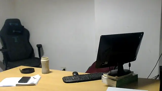 Show Webcam de Mastertopdome