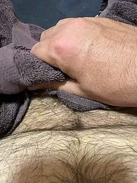 Dan8736n Webbikameraesitys