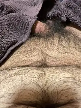 Dan8736 webcam show