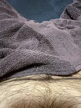 Dan8736 – webcam-show
