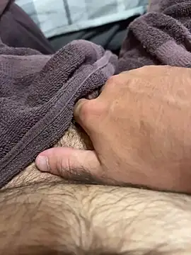 Dan8736 网络视讯表演
