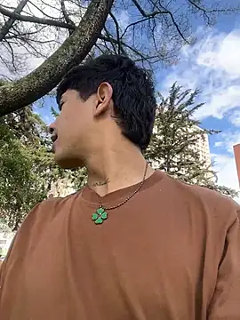 Вебкам-шоу teobrowny