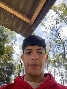 Show Webcam de teobrowny