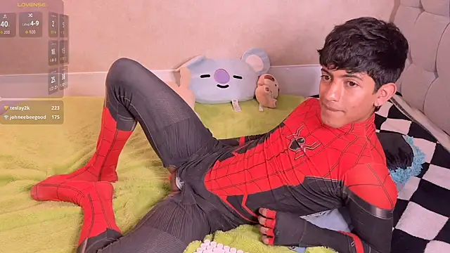 Show Webcam de teobrowny