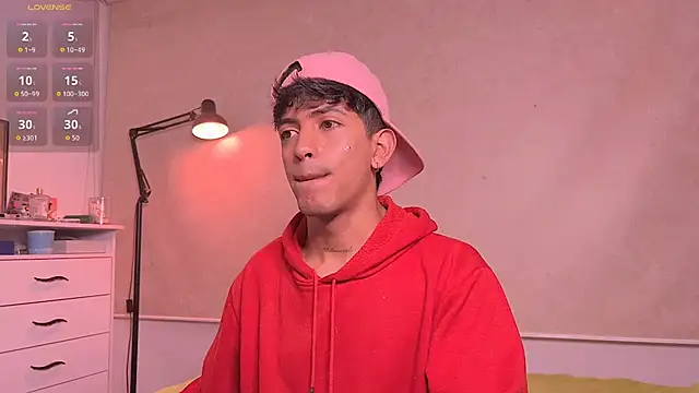 Show Webcam de teobrowny