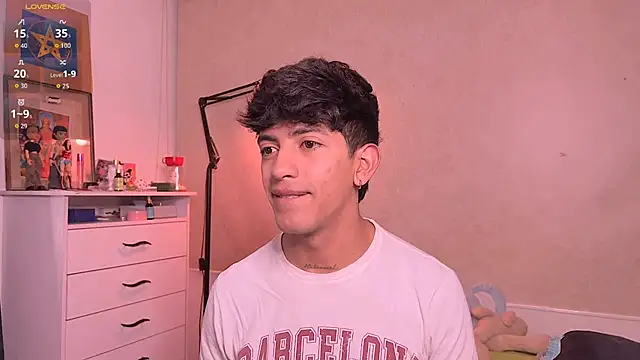 Show Webcam de teobrowny