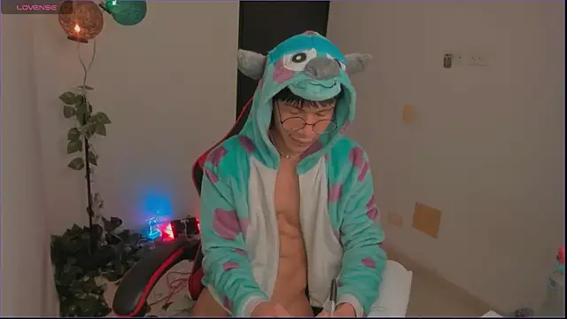 odelei Show Webcam