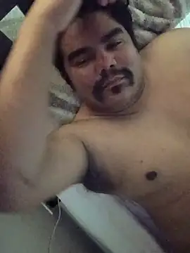 Brickstash Pertunjukan Webcam