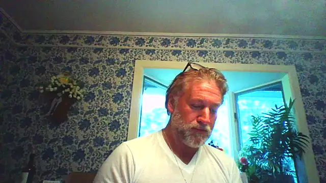 Show Webcam de LINYguy