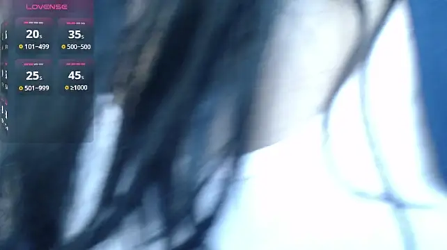 palmer_mIixn Webbikameraesitys