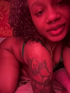 Show webcam de strip4faith