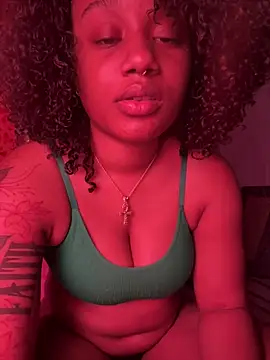 Show webcam de strip4faith