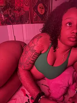 Show Webcam de strip4faith