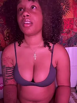 Show webcam de strip4faith