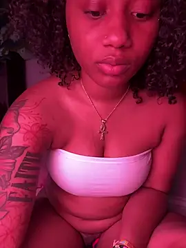 Show webcam de strip4faith