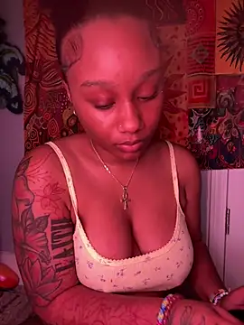 Show webcam de strip4faith