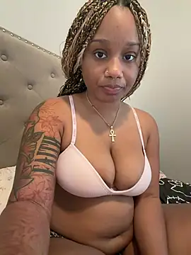 Show Webcam de strip4faith