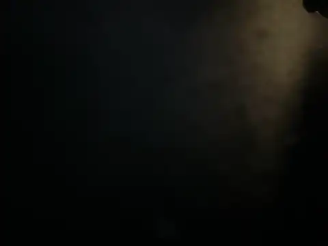 Pablouyu Pertunjukan Webcam