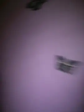 Pablouyu Webcam show