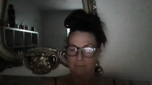 Tillieuk webcam show