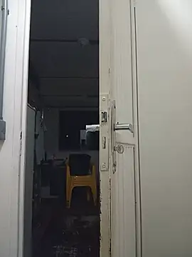 Hudsson_Vilascorti Cameră chat live