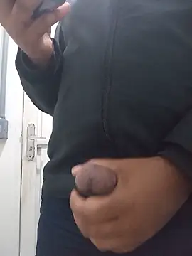 Show de Hudsson_Vilascorti na webcam